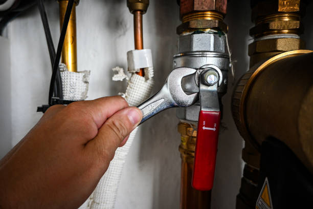 Best Affordable Plumbing Services  in Hebron, IN